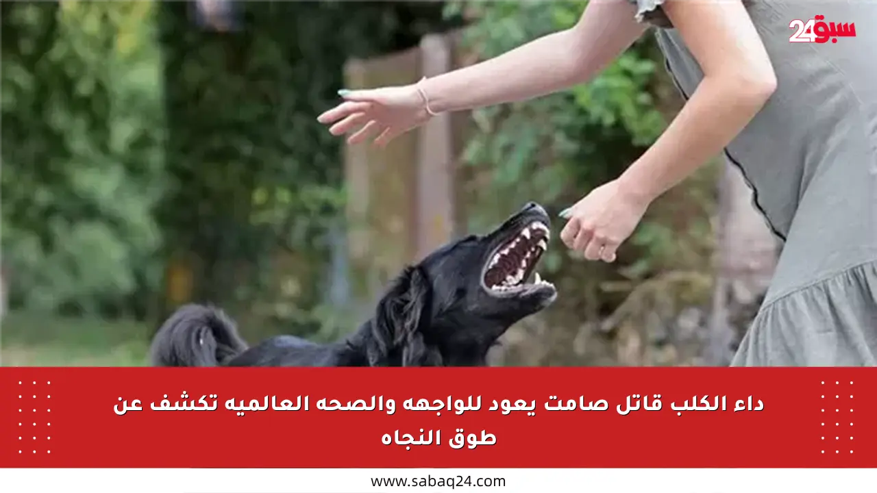 داء الكلب قاتل صامت يعود للواجهة والصحة العالمية تكشف عن طوق النجاة